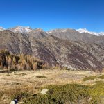 Habitat di prateria ad uso pastorale - Foto p.g.c. EGAP Valle Sesia